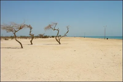 Et si nous allons à Al-Jaza'ir, où sommes-nous ?