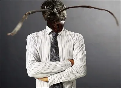 Créé par Zeus à partir de fourmis (Myrmidons) pour repeupler l'île où naît son fils. Qui est-il ?