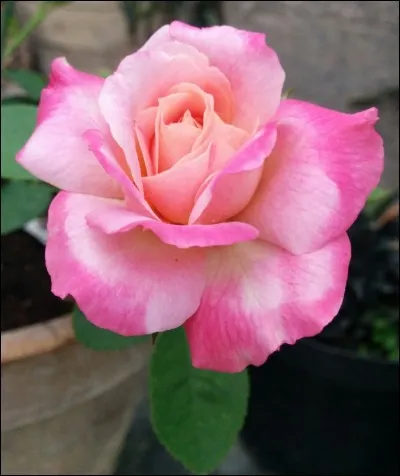 Quelle est cette couleur ?