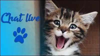 A-t-elle des animaux ?