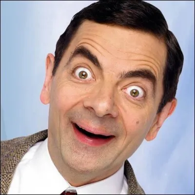 Comment s'appelle l'acteur qui joue le rôle de Mr Bean dans le film ?