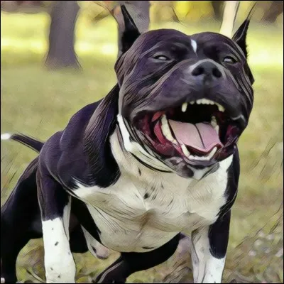 Les chiens considérés méchants le sont-ils toujours ?