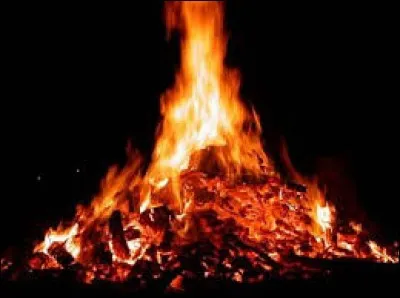 Complétez cette expression : "Faire feu de tout...