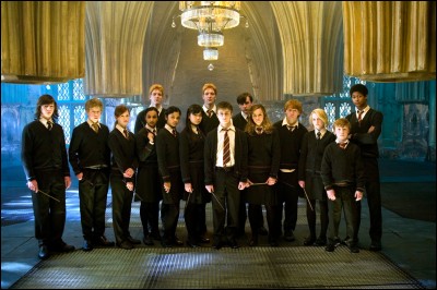 Aimes-tu le film "Harry Potter" ?
