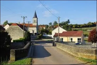 Nous partons dans le Grand-Est, &agrave; Cour-l'Ev&ecirc;que. Village de la vall&eacute;e de l'Aujon, dans l'arrondissement de Chaumont, il se trouve dans le d&eacute;partement ...