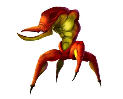 Quel est le nom de cette créature ?