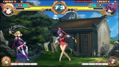 Dans lequel de ces jeux de combats incarne-t-on uniquement des personnages de sexe féminin ?