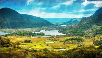 ''The Rose of Tralee'' est une chanson mais c'est aussi un concours mondial ouvert uniquement...