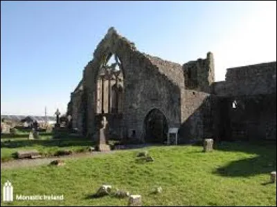 ''The Fields of Athenry'' est une chanson qui rappelle un événement dramatique survenu en Irlande au milieu du XIXe siècle...