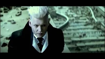Gellert Grindelwald a été tué par Voldemort.