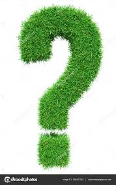 Qu'est-ce qu'une futaie ?