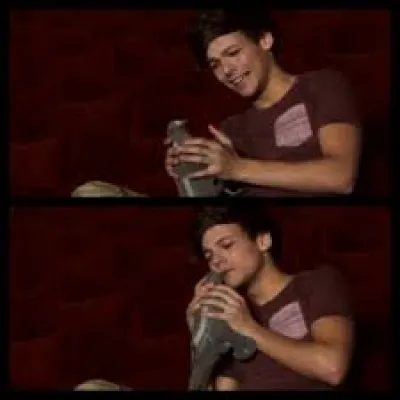 Comment s'appelle le pigeon de Louis ?