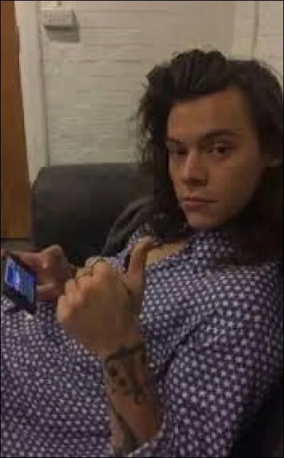 Quel est le nom du chat de Harry ?