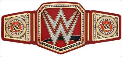 Qui est le champion Universal en 2017 ?