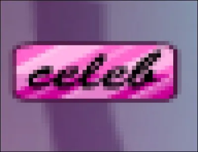 Comment &ecirc;tre Celibe ?