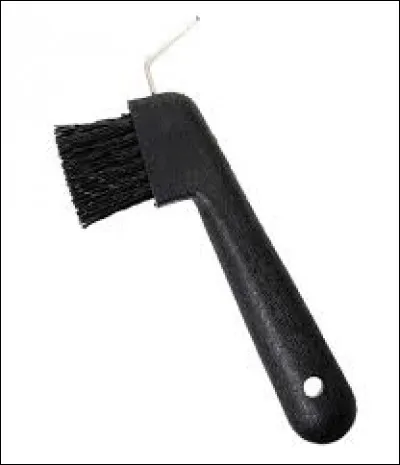 Cette brosse s'appelle :