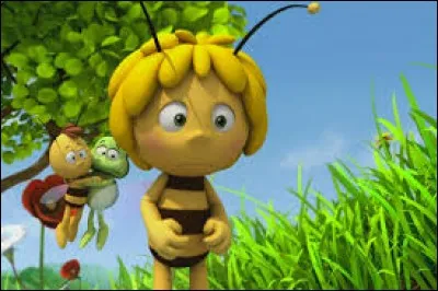 Quel est ce dessin anim&eacute; ?