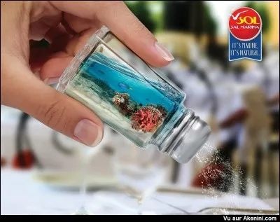 Accompagne le sel sur la table.