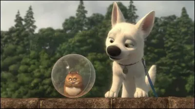 Quel était son but ?