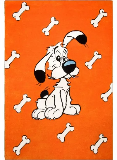 À qui appartient ce chien ?