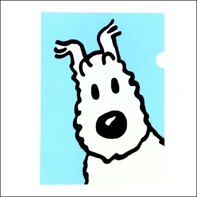 Comment s'appelle ce chien ?