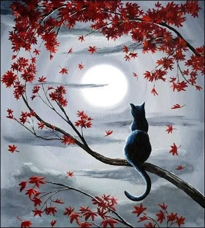 Quelle couleur porte le chat associé à cette fête ?