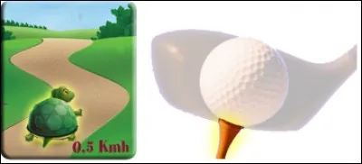 Quel est ce légume ?