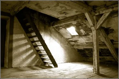 Rural, il vide les campagnes.