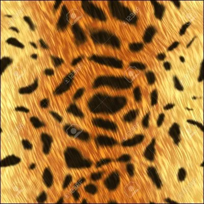 Chatte au poil doré tacheté de noir :