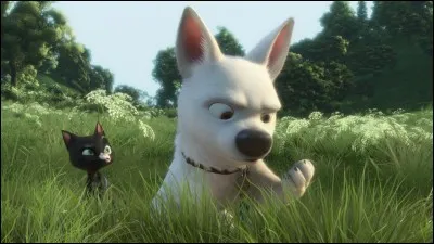 À ce moment du film, pourquoi Volt regarde-t-il sa patte ?