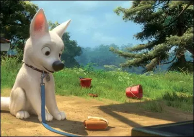 Volt a une marque sur le flanc gauche. Elle représente...