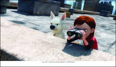 Quel est le métier de Volt et de sa maîtresse ?