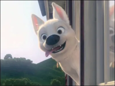 Pourquoi Volt part-il de chez lui pour au final y retourner ?