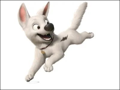 Combien de personnes Volt rencontre-t-il ? (Par "personnes", je veux dire "animaux")