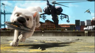 Quel est le jouet fétiche de Volt ?