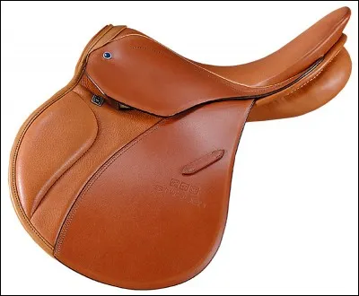 À quoi sert la selle ?