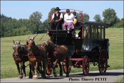 À quoi servaient les chevaux avant ?