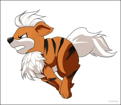 Quel est le nom de ce Pokémon ?