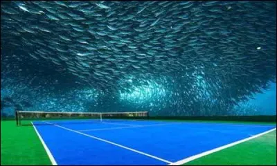 Complétez : je vous présente le premier _______ de tennis sous-marin !