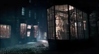 Comment s'appelle la rue où se trouve Harry lorsqu'il utilise mal la poudre de cheminette ?