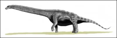 Quel est le plus lourd dinosaure ?