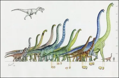 Quel est le plus haut dinosaure ?