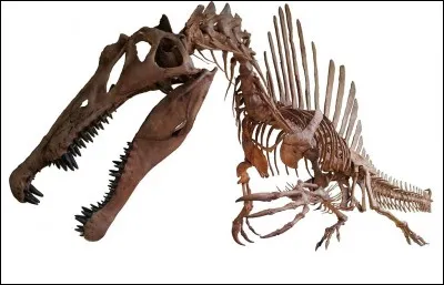 Quel est le mode de vie du Spinosaurus ?