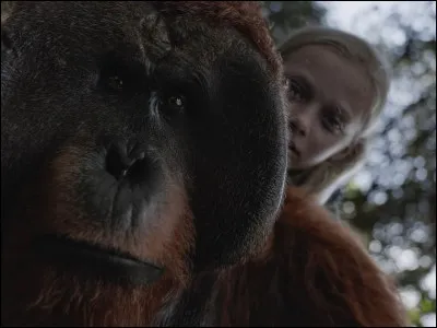 C'est un film de science-fiction américain coécrit et réalisé par Matt Reeves, sorti en 2017, quel film est-ce ?