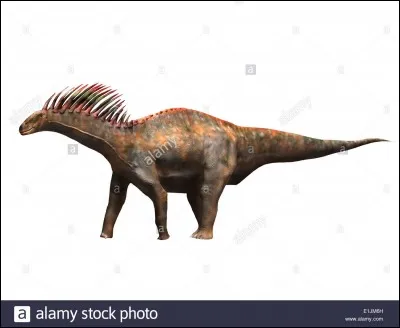 Comment s'appelle ce dinosaure ?