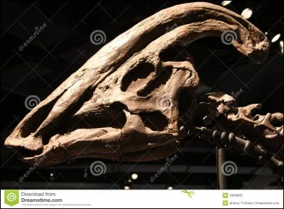 Parasaurolophus utilisait sa crête pour :