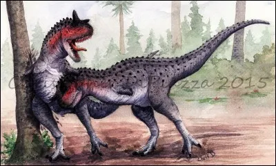 Carnotaurus mesurait :