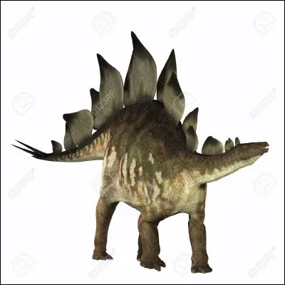 Quelle est la particularité de Stegosaurus ?