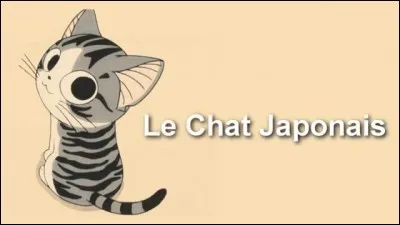 Comment dit-on "chat" ?