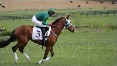 Quelles sont les aides artificielles ?